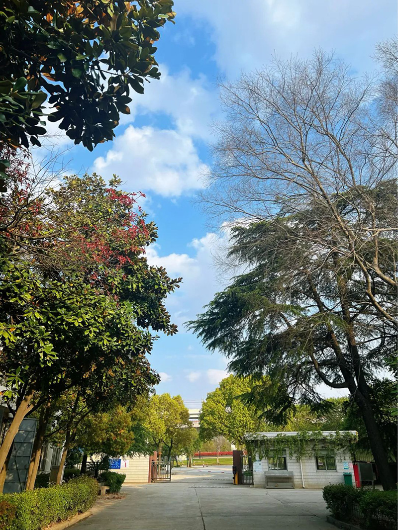 極致的康發(fā)雙螺桿擠出機(jī)工匠精神，支撐著在追逐夢(mèng)想的旅程中穩(wěn)步邁進(jìn)。